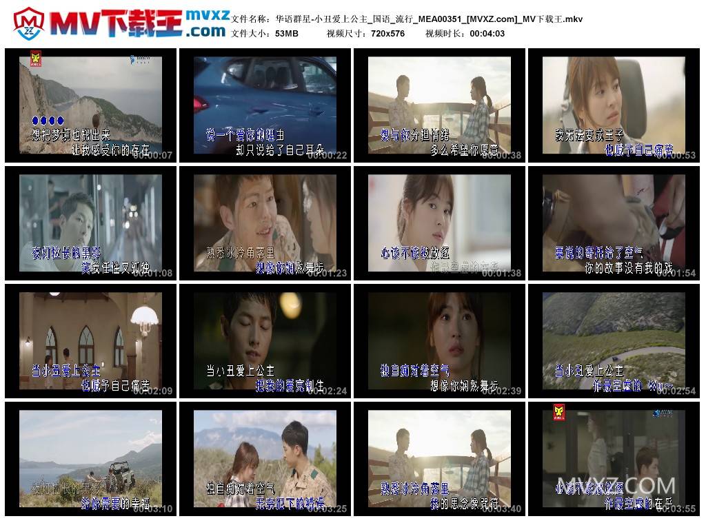 华语群星-小丑爱上公主_国语_流行_MEA00351